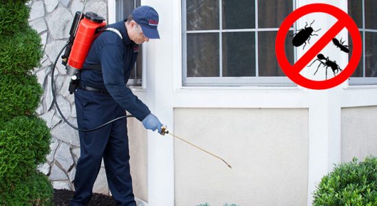 Çilimli Bit İlaçlama böcek ilaçlama ve haşere kontrolü — ilaclama-tr.com